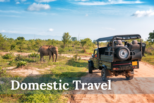 Brooklyn Travel Agency -Domestic Travel