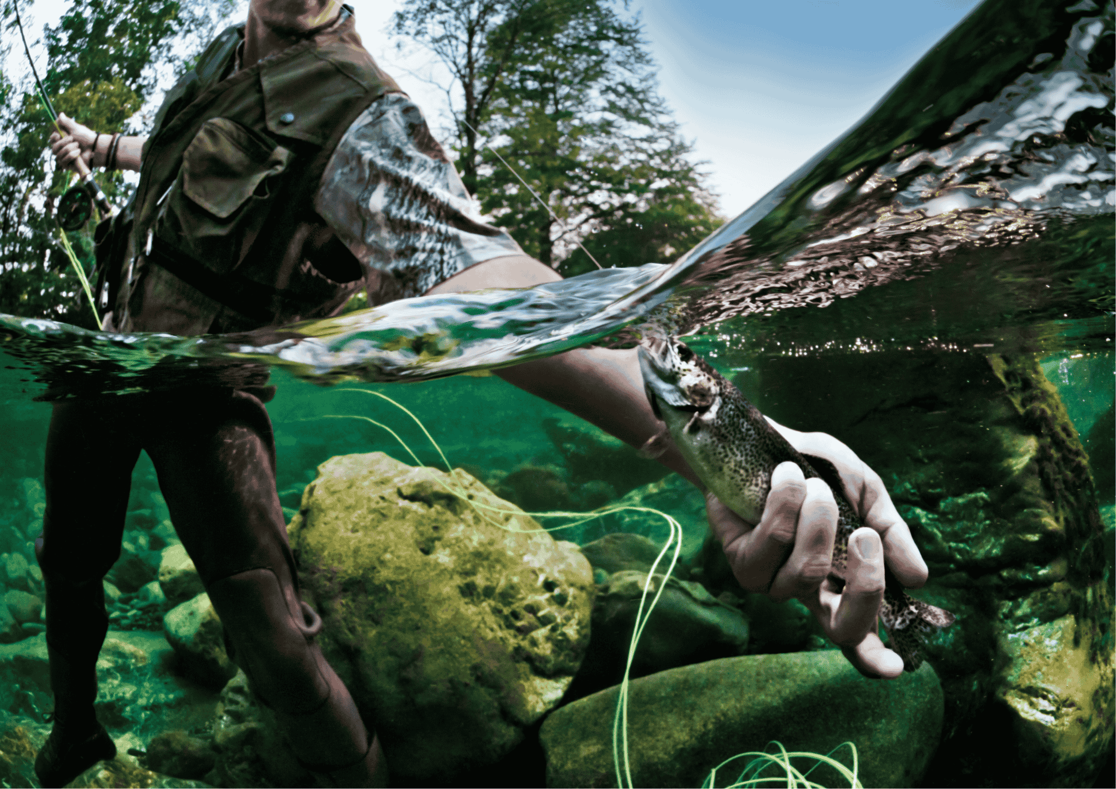 Fishing Safari Packages